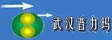 武汉普力玛新材料技术有限责任公司

