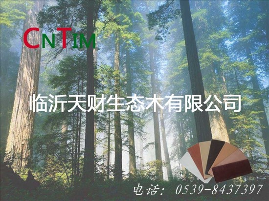 山东天财集团生态木(中国木)有限公司
