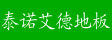 泰诺艾德有限公司

