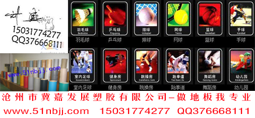 沧州市冀嘉塑胶体育用品有限公司
