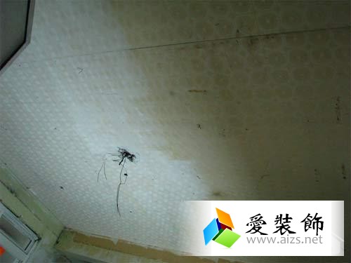 拆壁纸